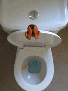 ������������ �������� ������